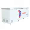 TỦ ĐÔNG SANAKY  INVERTER  250L VH2599A3