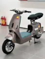 XE ĐẠP ĐIỆN TAILG GR55