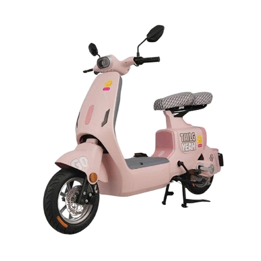 XE ĐẠP ĐIỆN TAILG GR55