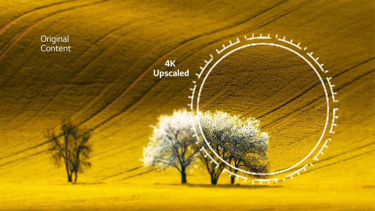 tivi lg 75inch - Điện Máy Trả Góp Lê Triều