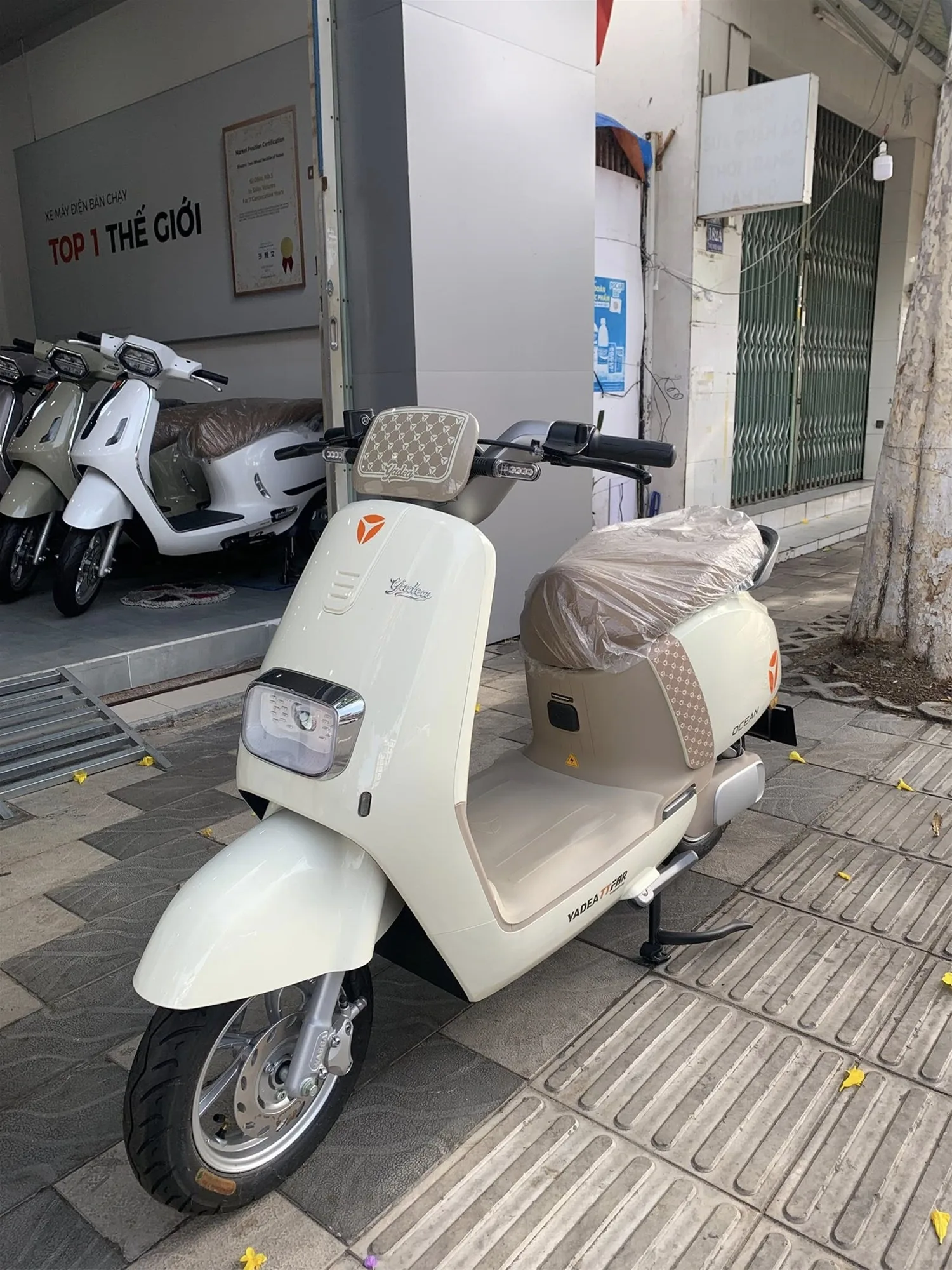 📍 Địa chỉ mua xe uy tín