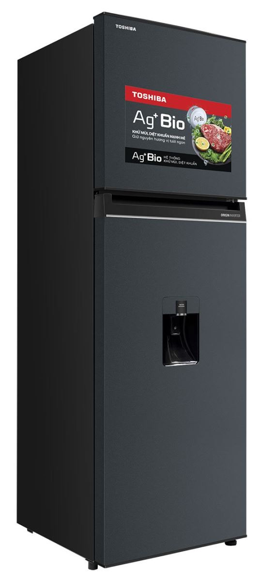Tủ lạnh Toshiba Inverter 249 lít - Điện Máy Trả Góp Lê Triểu
